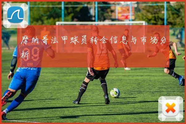 摩纳哥法甲球员转会信息与市场分析