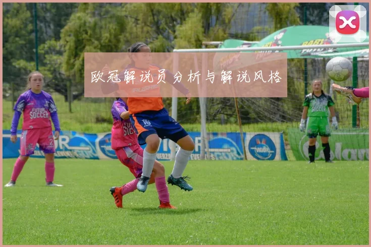 欧冠解说员分析与解说风格