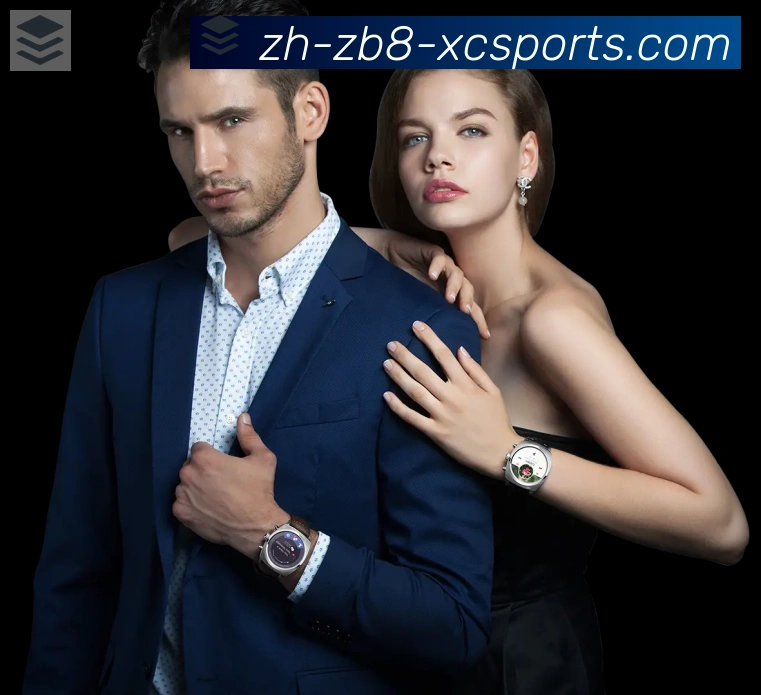 登录器